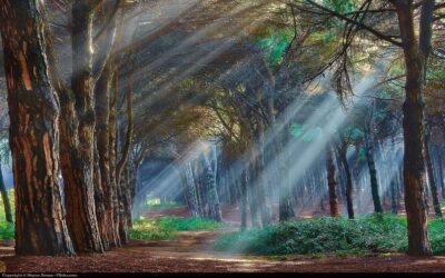 Let Go and Allow Life to Happen