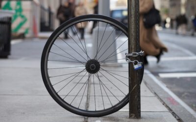 The Utility and Futility of a Human Life